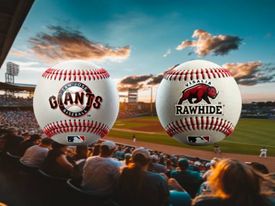Visalia Rawhide vs. San Jose Giants